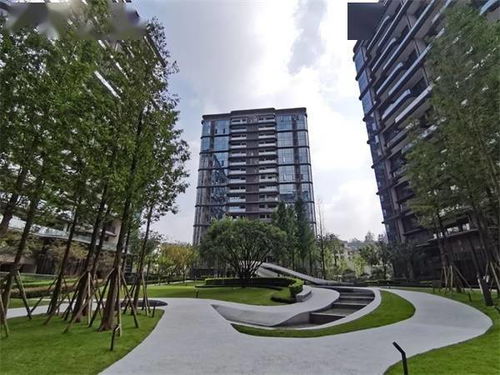 活動(dòng) 德州房協(xié)赴川渝經(jīng)典房地產(chǎn)開(kāi)發(fā)項(xiàng)目考察活動(dòng)圓滿(mǎn)成功