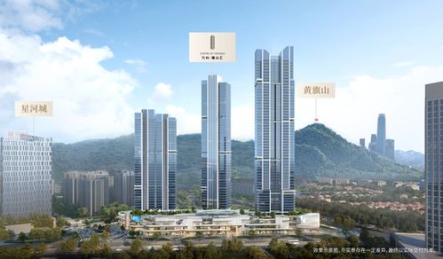 萬科產品迭代升級，以穩健發展姿態領跑上半年